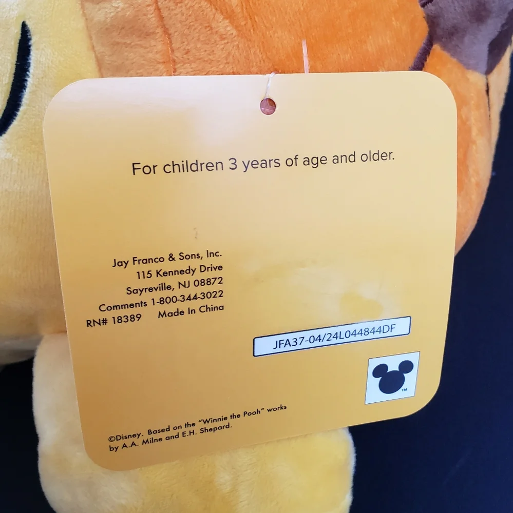 Disney Winnie The Pooh Pumpkin Hat Soft Decorative Plush Pillow NWT